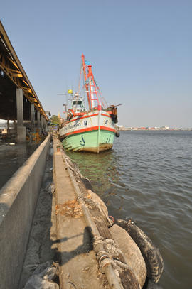 Trawl Mahachai_023.NEF