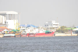 Tuna boats_004.NEF