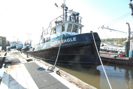 MV River Eagle010.NEF