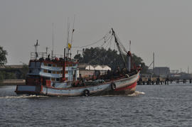 Trawl Mahachai_006.NEF