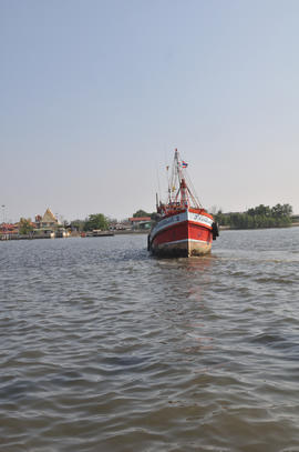Trawl Mahachai_015.NEF